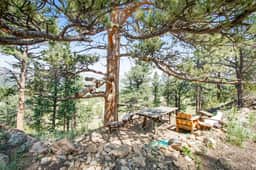 Flower Lane Cabin - Image 2