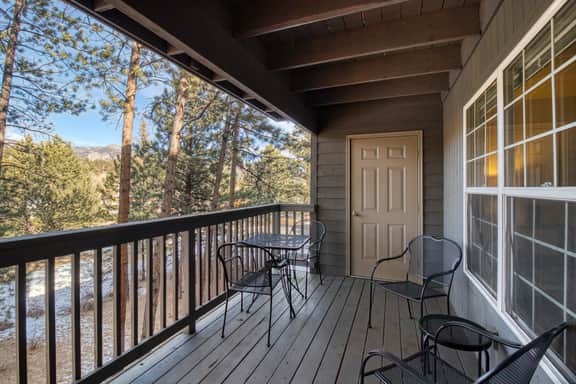 Quiet in the Pines - Image 5