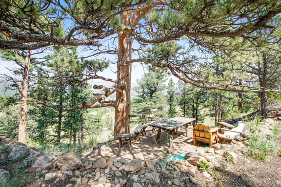 Flower Lane Cabin - Image 2
